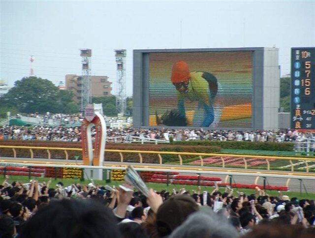 ディープインパクトのダービー